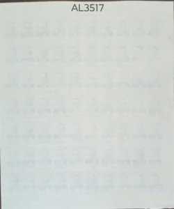 India 2009 400 Homi Jahangir Bhabha Error Imperf Sheet UMM Sheet Rare - AL3517