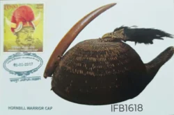 India 2017 Hornbill Warrior Cap Headgears of India Picture Postcard Pictorial cancelled - IFB01618