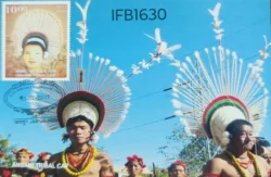 India 2017 Angami Tribal Cap Headgears of India Picture Postcard Pictorial cancelled - IFB01630