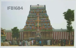 India Palani Murugan Temple Tamilnadu Picture Postcard - IFB01684