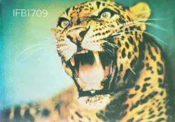 India 1976 Leopard Indian Wild Life Stamp Tied & Cancelled on Reverse Side Picture Postcard - IFB01709