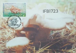 Thailand Mushroom 2001 Picture Postcard Pictorial cancelled - IFB01723