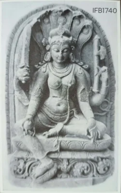 India Nalanda Serpent Hooded Goddess Stone Picture Postcard - IFB01740