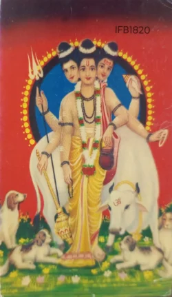 India Lord Vishnu Hinduism used Picture Postcard - IFB01820