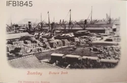 India Bombay Victoria Dock Picture Postcard - IFB01845