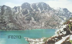 India Tsangu Himalayan Lake Picture Postcard Issued By Department of Post IFB02113
