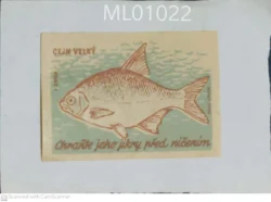 Czechoslovakia Protect his eggs from destruction Fish Matchbox Label - ML01022