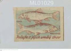 Czechoslovakia Take care of their artificial breeding Fish Matchbox Label - ML01029