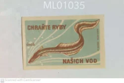 Czechoslovakia Protect the Fish Our Water Matchbox Label - ML01035