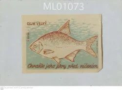 Czechoslovakia Protect his eggs from destruction Fish Matchbox Label - ML01073