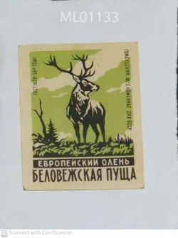 USSR Russia European Deer Bielavie?skaja pu??a National Park Matchbox Label - ML01133