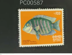 Ceylon Sri Lanka Fish Etroplus Suratensis Used PC00587