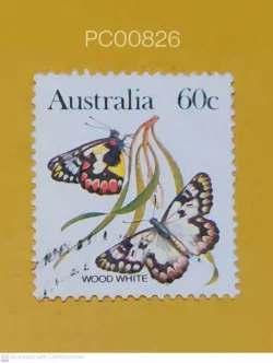 Australia Butterfly Wood white Used PC00826