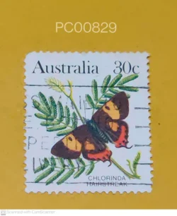 Australia Butterfly Chlorinda Hairstreak Used PC00829