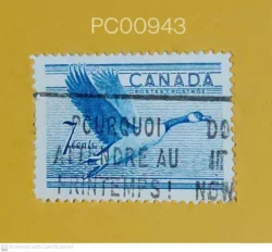Canada Blue Goose Birds Used PC00943