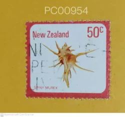 New Zealand Spiny Murex Used PC00954
