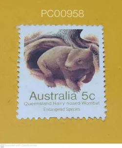 Australia Queensland Hairy Nosed Wombat Endangered Species Used PC00958