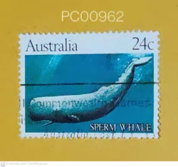 Australia Sperm Whale Used PC00962