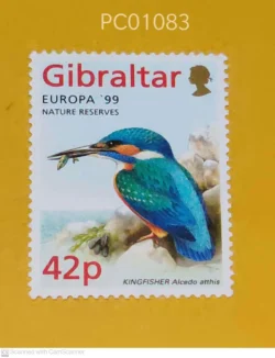 Gibraltar Birds Kingfisher Alcedo atthis UMM PC01083