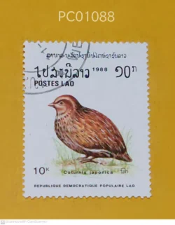 Laos Birds Coturnix Japonica Used PC01088