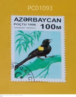 Azerbaijan Birds Yellow-mantled widowbird Used PC01093
