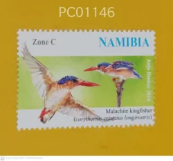 Namibia Birds Malachite Kingfisher UMM PC01146
