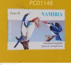 Namibia Birds Woodland Kingfisher UMM PC01148