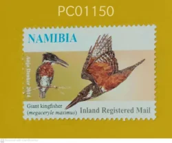 Namibia Birds Giant Kingfisher UMM PC01150