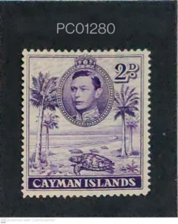 Cayman Islands King tortoise Palm Tree Sea Beach Mounted Mint PC01280