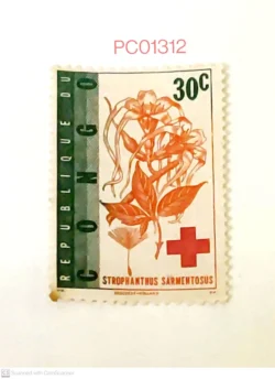 Republic of Congo medicinal plants Red Cross Mint PC01312