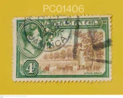 Jamaica King George 6th Citrus Grove King Used PC01406