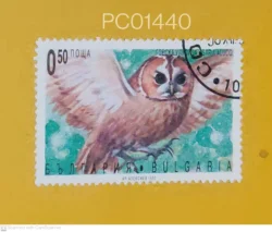 Bulgaria Owl Birds Used PC01440