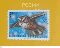 Bulgaria Owl Birds Used PC01441