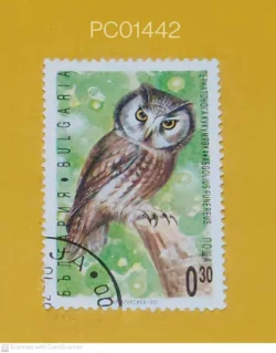 Bulgaria Owl Birds Used PC01442