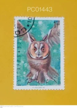 Bulgaria Owl Birds Used PC01443