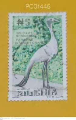 Nigeria Paradise Istanley Crane Birds Used PC01445