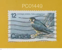 Canada Falco Peregrinus Birds Used PC01449