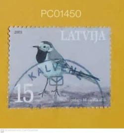 Latvia White Wagtail Birds Used PC01450