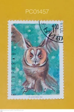 Bulgaria Owl Birds Used PC01457