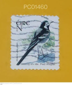 Ireland Pied Wagtail Birds Used PC01460