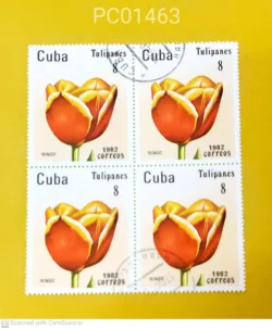 Cuba Ringo Tulip Flower 1982 Blk of 4 Used PC01463