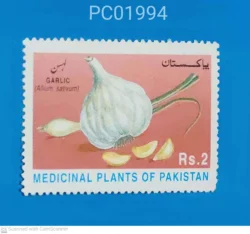 Pakistan Garlic Medicinal Plants of Pakistan Unmounted Mint PC01994