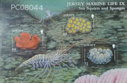 Jersey Sea Squirts & Sponge Marine Life Miniature sheet UMM PC08044