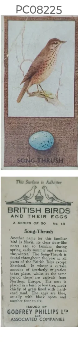 Cigarette Cards British Birds and their Eggs with Details on Reverse PC08225