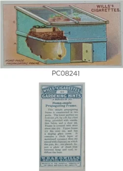 Cigarette Cards Home Made Propagating Frame with Details on Reverse PC08241