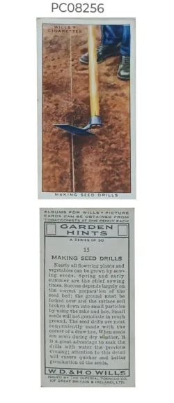 Cigarette Cards Garden Hints Making Seed Drills with Details on Reverse PC08256