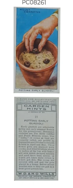 Cigarette Cards Garden Hints Plotting Early Gladioli with Details on Reverse PC08261