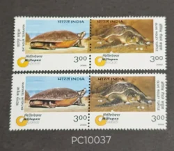 India 2000 Turtles Se-tenant Error Major Colour Difference UMM - PC10037