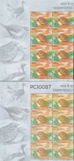 India 2006 Endangered Birds Manipur Bush Quail Error Major Colour Difference Block of 8 UMM - PC10087