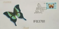 India 1981 Butterflies FDC Hyderabad Cancelled IFB03781